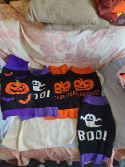 Large Halloween for pets