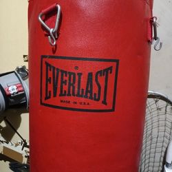 40 lbs Everlast Punching Bag