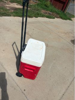 Cooler