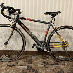 Concord RS-18 Speed Bicycle Road Series 19”