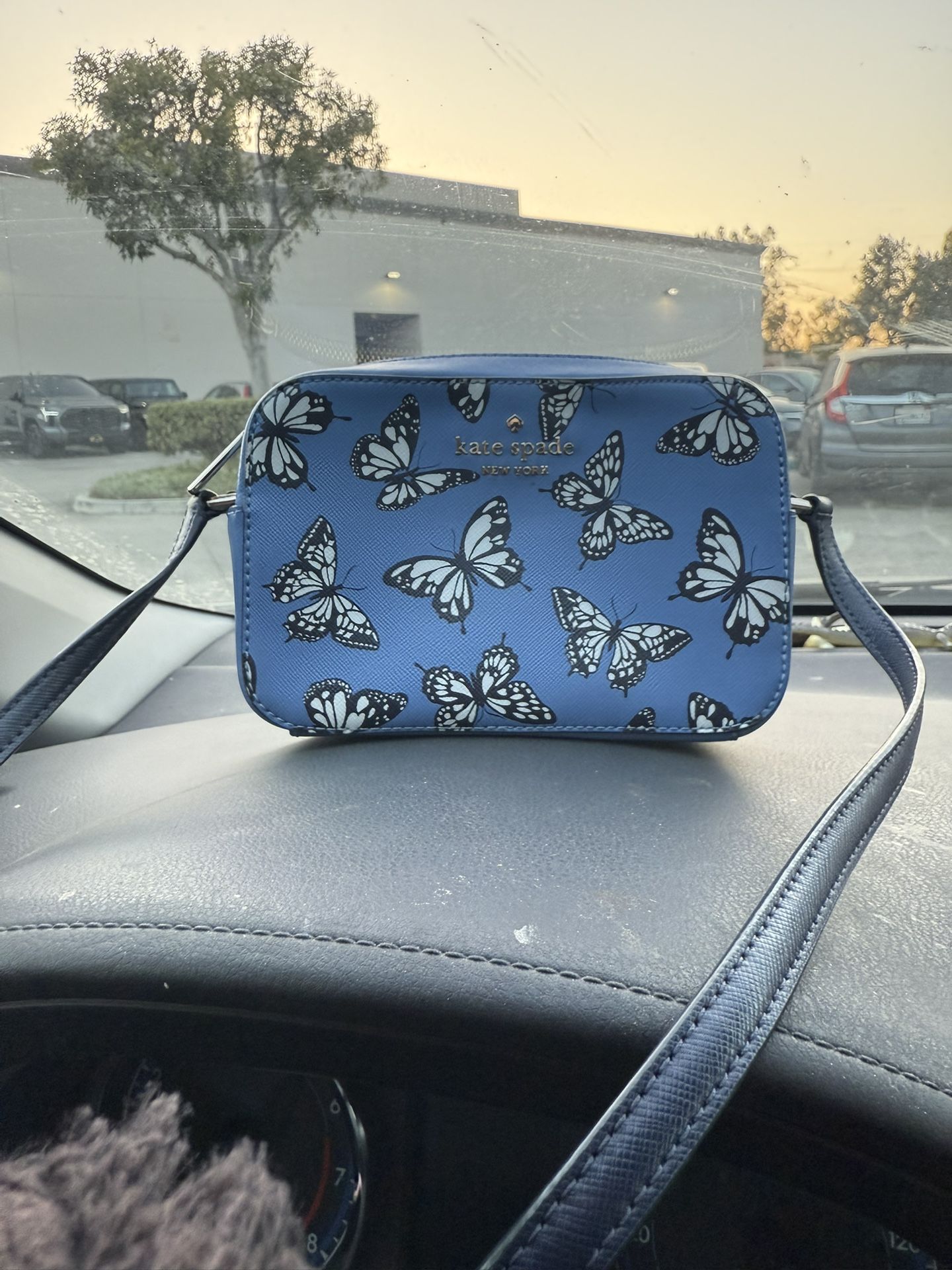 Kate Spade Purse Crossbody