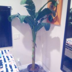 Palm Tree-(Fake) W/Ceramic Pot