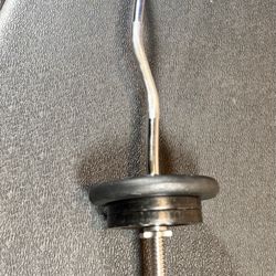 Standard Steel Curl Bar with Cast Iron Weight Plates pairs: 15#, & 4X 5 #. Total: 66 pounds