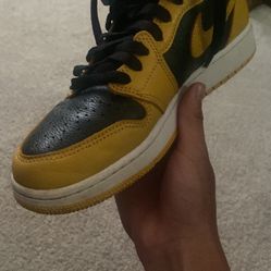 Air Jordan 1 Pollens 