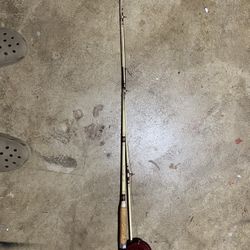 Fishing Rods With Reel.