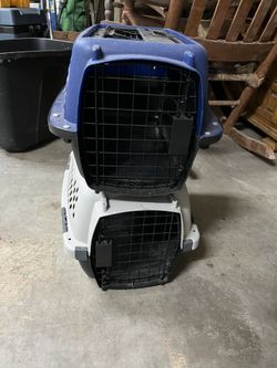 Pet Carriers Set Of 2 