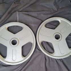 45lbs Olympic Weights 