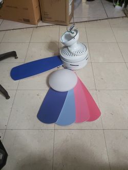 Boys or Girls Fan