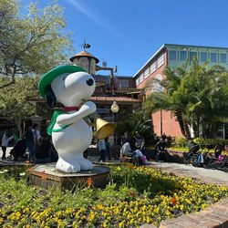 knotts berry farm 4 tickets (family pack)