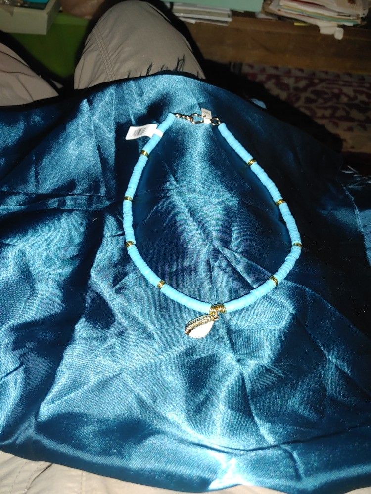 Money Cowrie Shell Choker