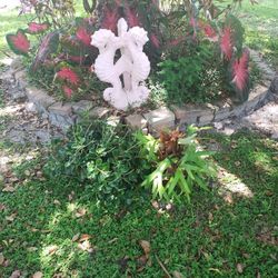 Plants With Hanging Baskets 