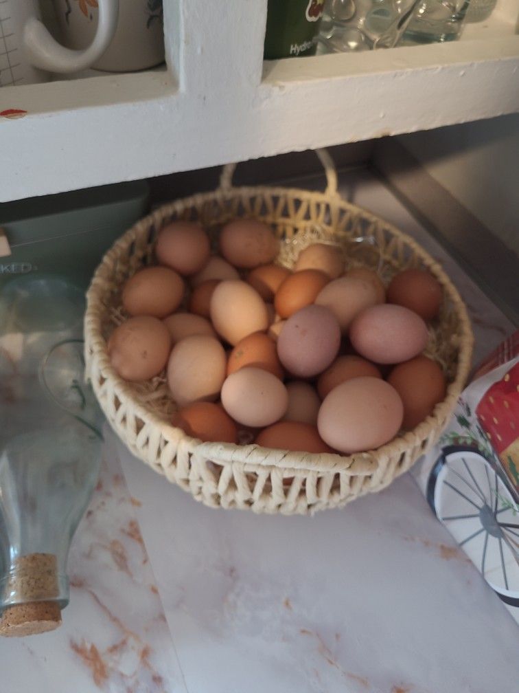 Farm Fresh Eggs