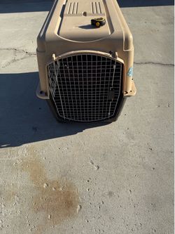 Dog kennel