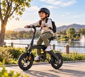 Hiboy C1 Folding Electric Bike – 20MPH / 43.5 Mile Range