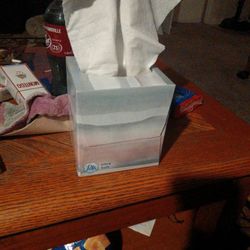 Free Pureed Moms Meals 