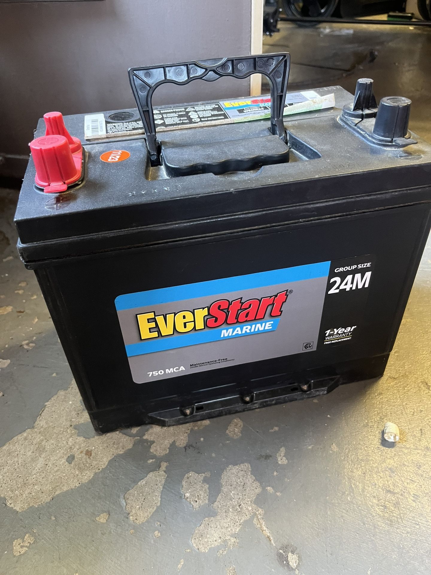 EverStart Marine 24M Battery