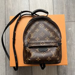 Louis Vuitton Palm Springs Mini
