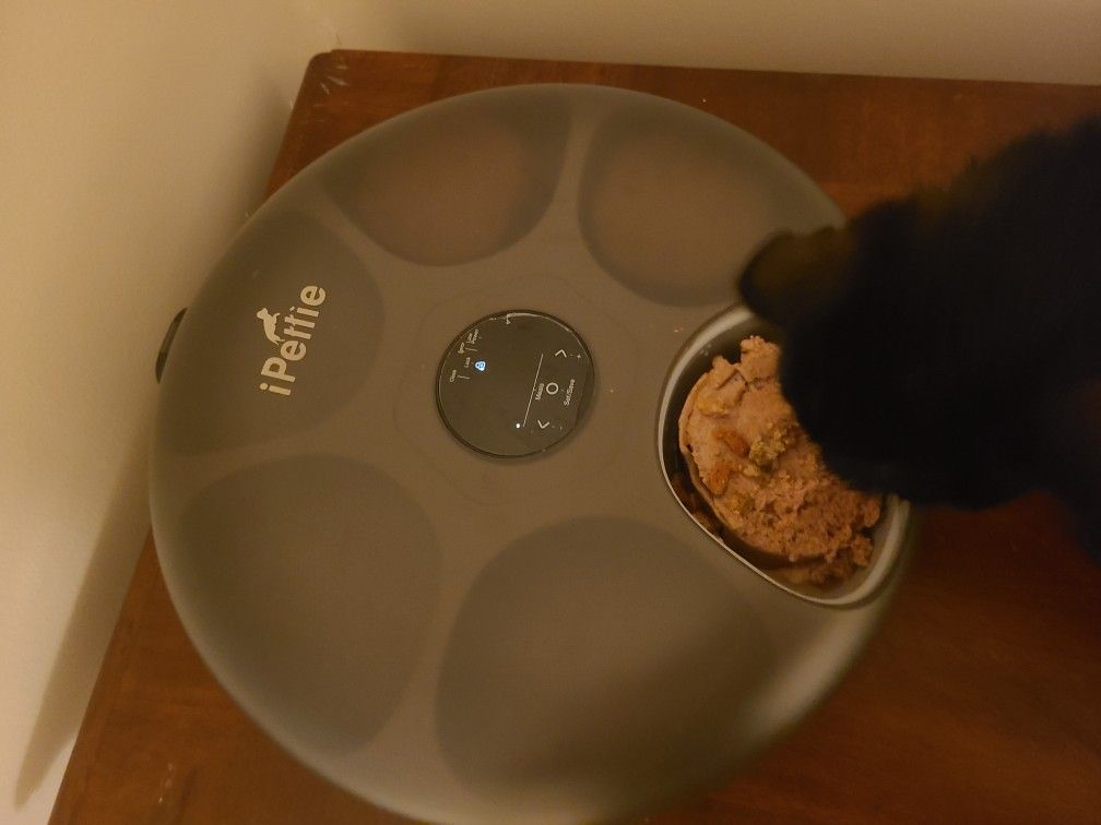 Pet Feeder