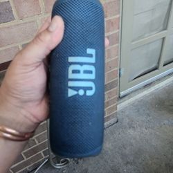 Jbl Flip 6 Speaker 