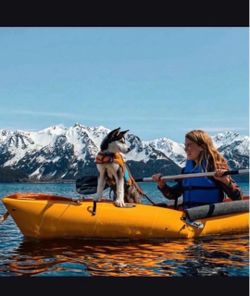 Foldable kayak