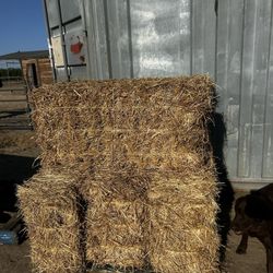 5 Bails Of Alfalfa