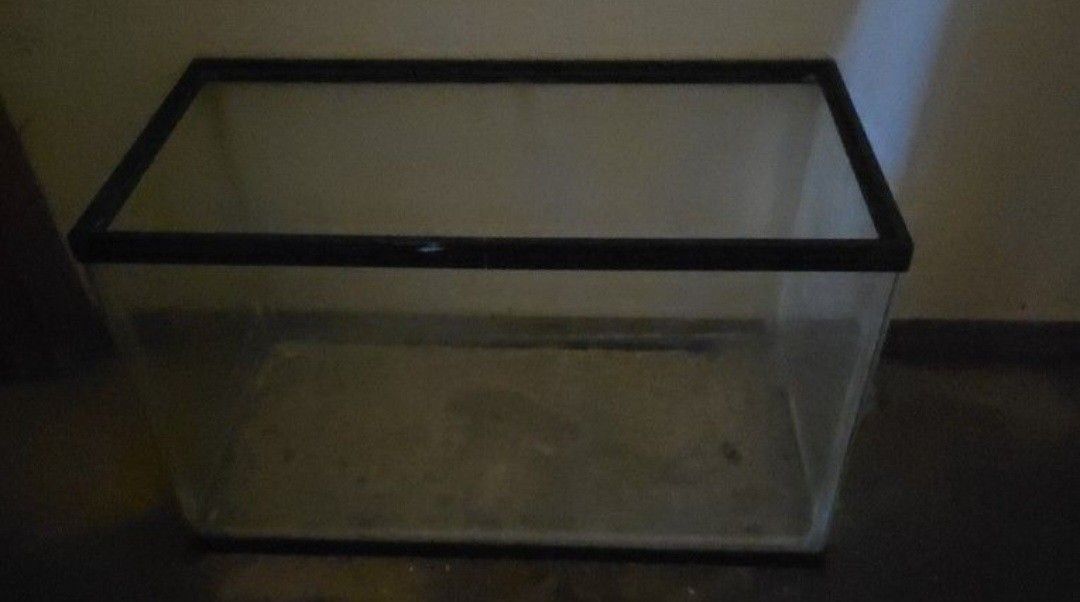 Fish Tank 10 Gallon