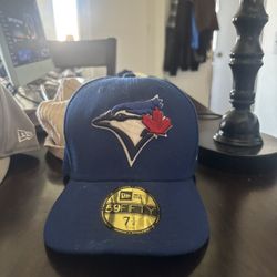 Blue jays all blue hat