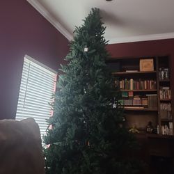 10.5 Christmas Tree