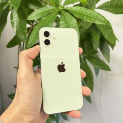 iPhone 12 - Unlocked - 64GB