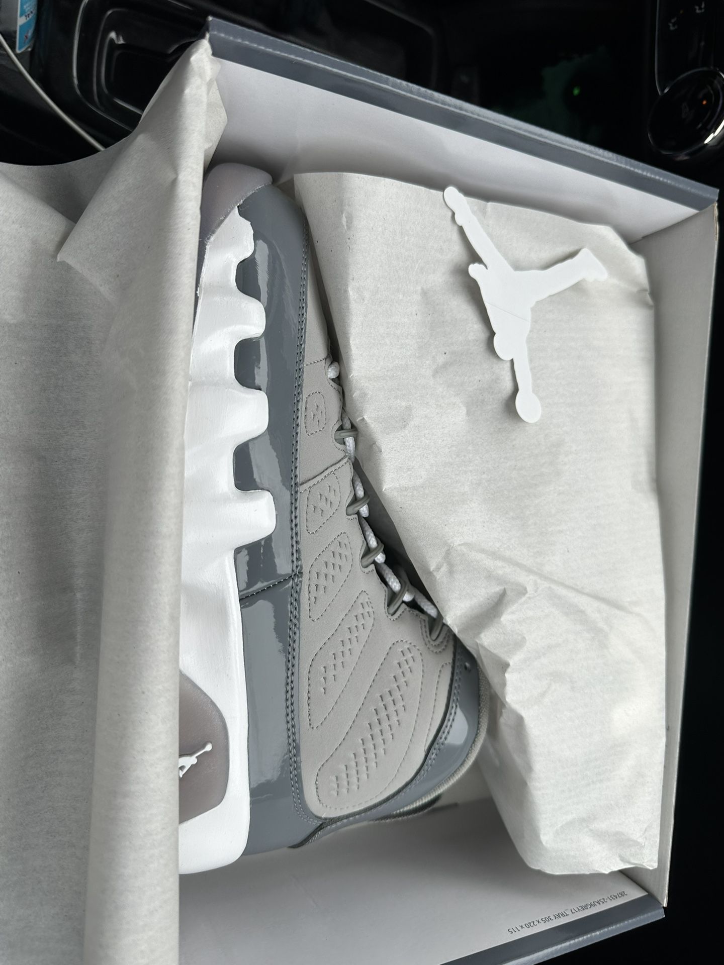 Cool Gray 9’s 