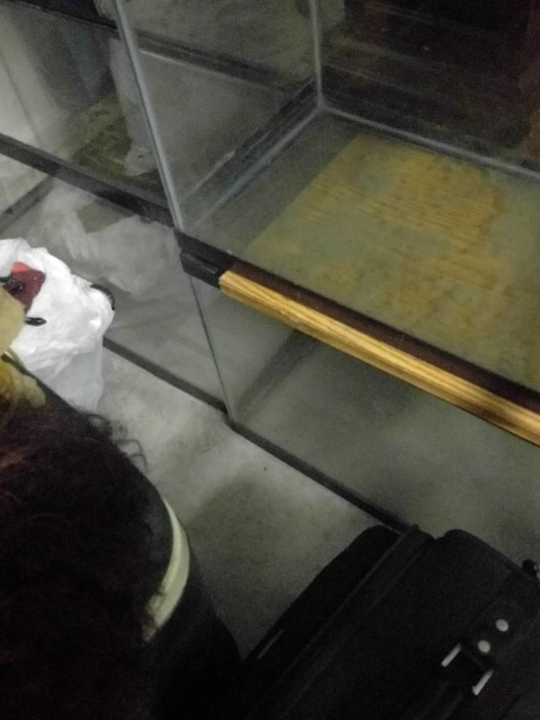 20 Gal Fish Tanks