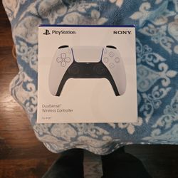 White Ps5 Controller