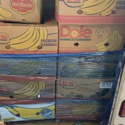 5000 Pc Makeup Beauty Cosmetic Pallets 