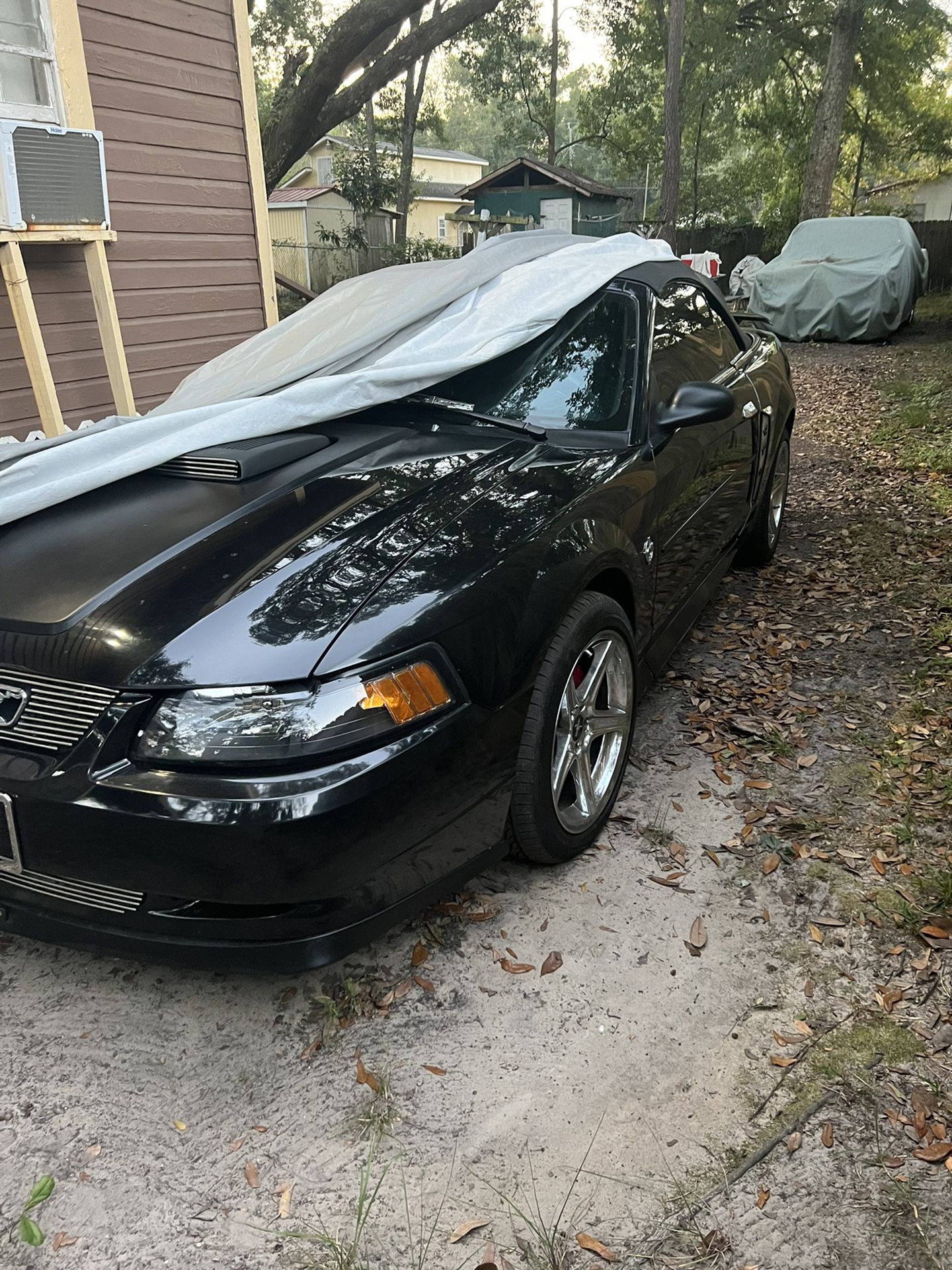 1999 Ford Mustang