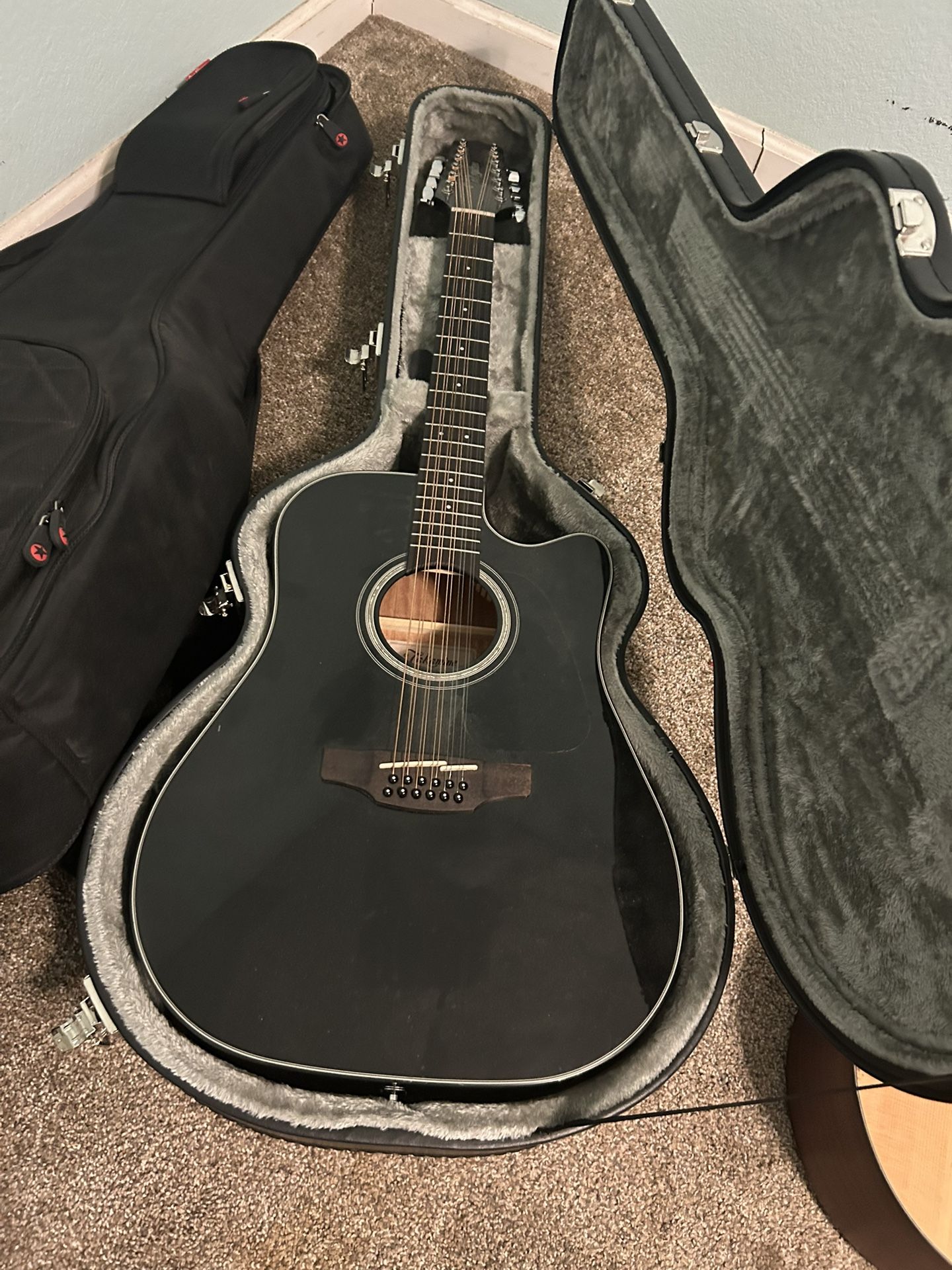 Takamine Guitar 12 String G Series