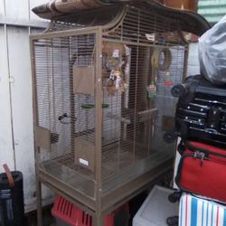 Bird Cage