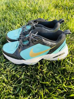 Nike Air Monarch Men’s SIZE 10