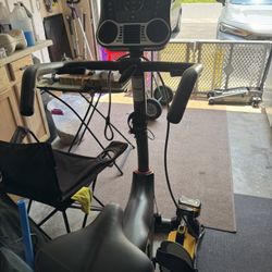 Schwinn 170 Fitness Exercise Bike