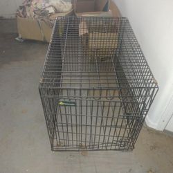 Dog Cage