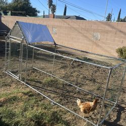 chicken run