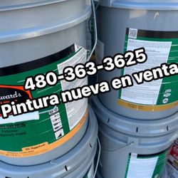 Pintura Nueva En Venta Paint Sale 