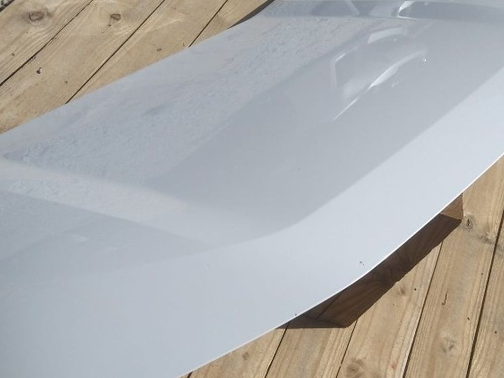 20/20 Toyota RAV4 Hood OEM Park Excellent Condition