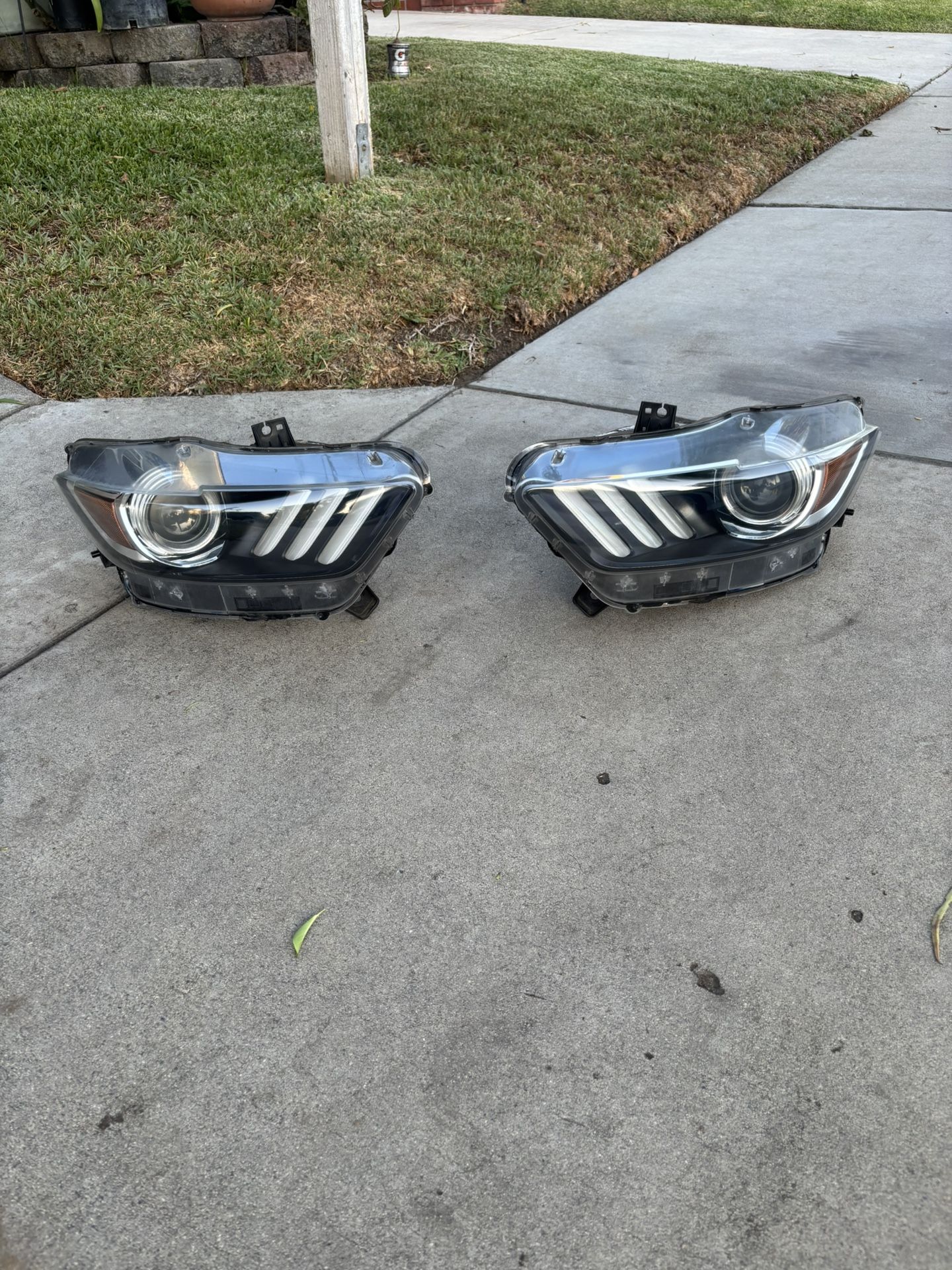 OEM Ford Mustang Headlights S550