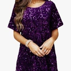 Sparkling Sequin Short Sleeve Dress (Retails for $36.00)