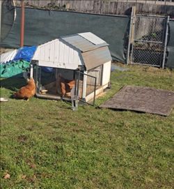 Chicken coop