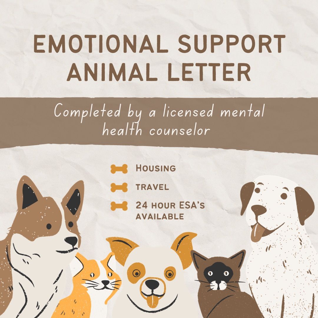 Mental Health How To Get My Dog Emotional Support Certified