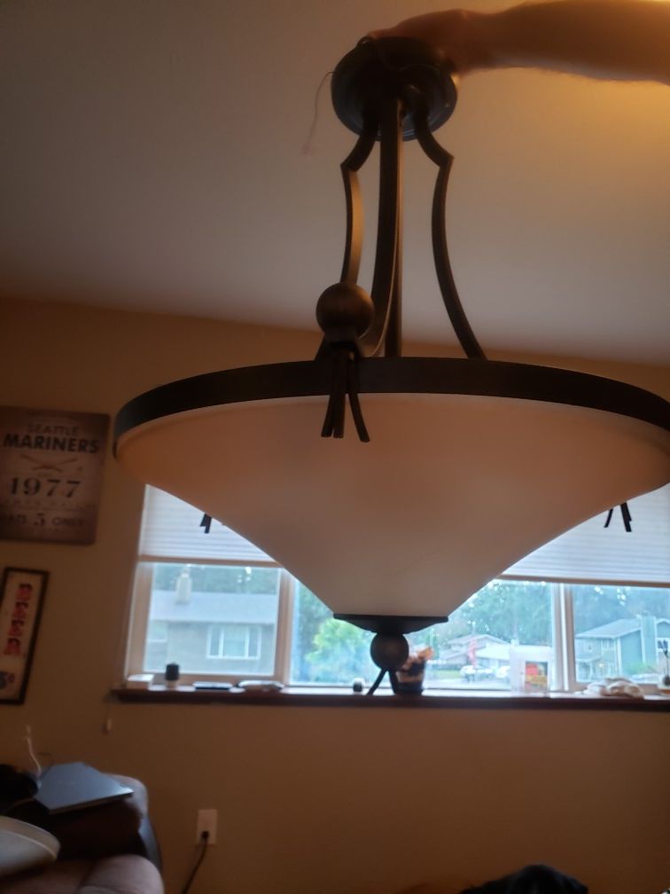 Chandelier and matching light fixture