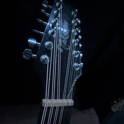 Takamine guitar 