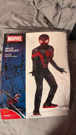 Spider-Man costume