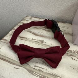 Pets Collar 19.5 Long X 1.5 Wide 